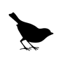 EC-LOGO-500x500-black-transparent