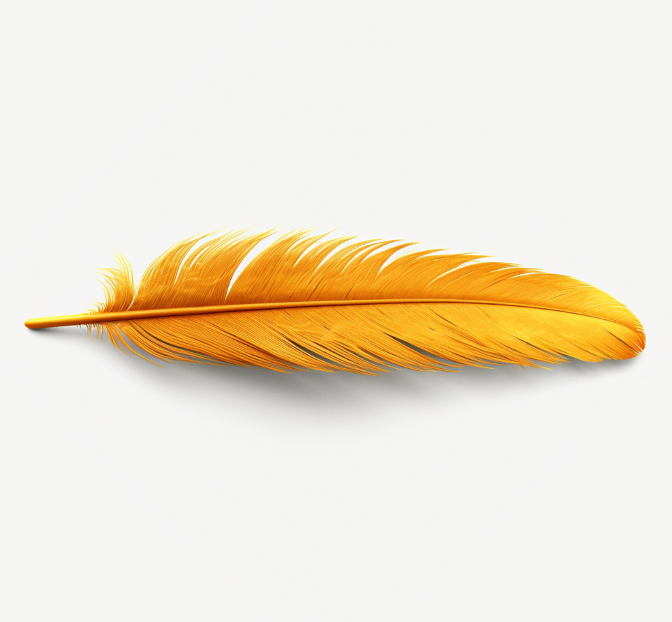 img-feather-elcanary