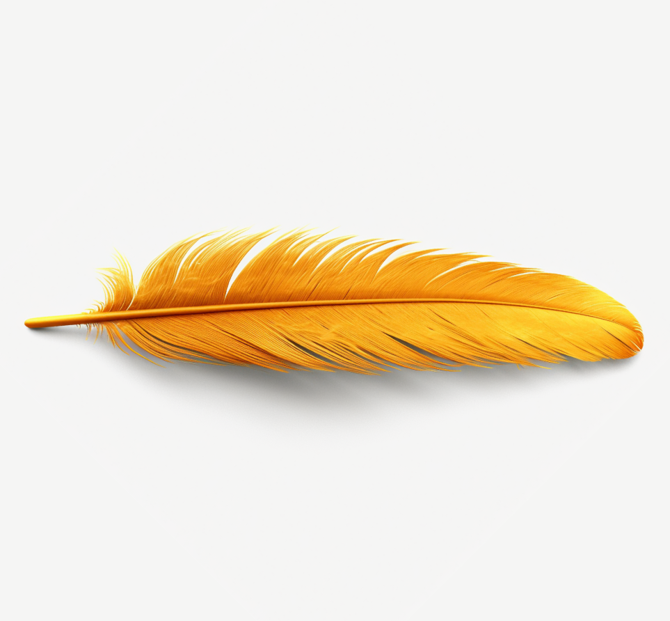 img-feather-elcanary img-feather-elcanary
